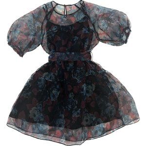 Chiffon Puff Mini Dress